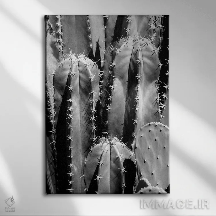 تابلو دکوراتیو سری سیاه آریزونا اثر فیلیپ هوگونار - نمای روبهرو روی دیوار