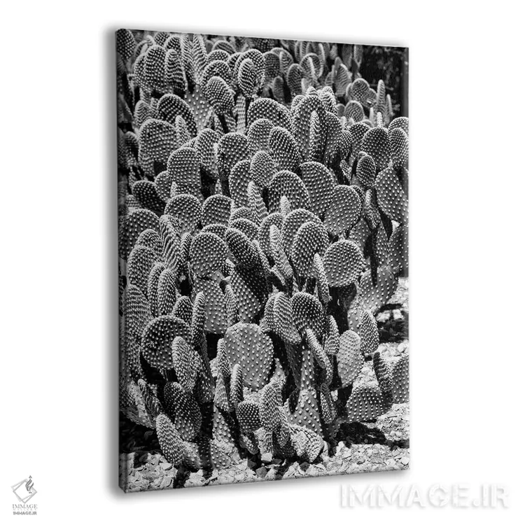 تابلو دکوراتیو سری سیاه آریزونا اثر فیلیپ هوگونار - نمای پرسپکتیو محصول