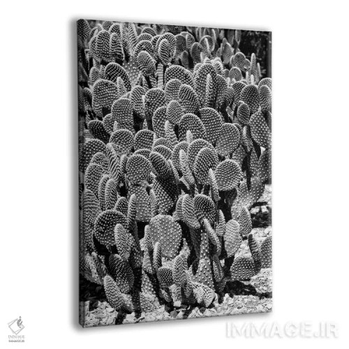 تابلو دکوراتیو سری سیاه آریزونا اثر فیلیپ هوگونار - نمای پرسپکتیو محصول