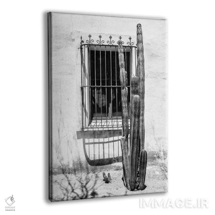 تابلو دکوراتیو سری سیاه آریزونا اثر فیلیپ هوگونار - نمای پرسپکتیو محصول