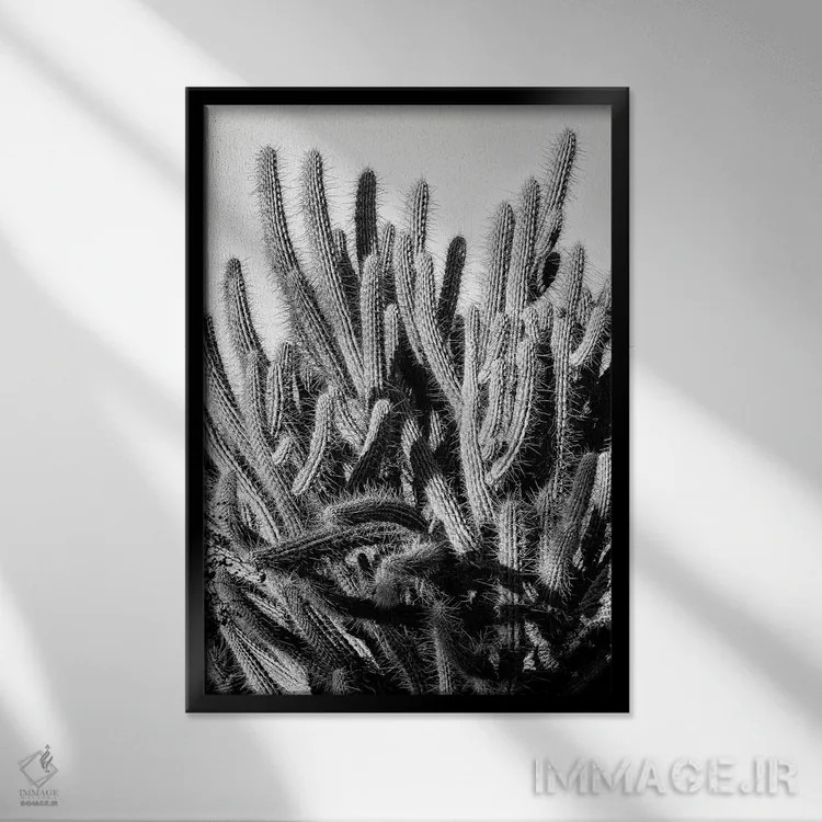 تابلو دکوراتیو سری سیاه آریزونا اثر فیلیپ هوگونار - نمای قابدار مشکی
