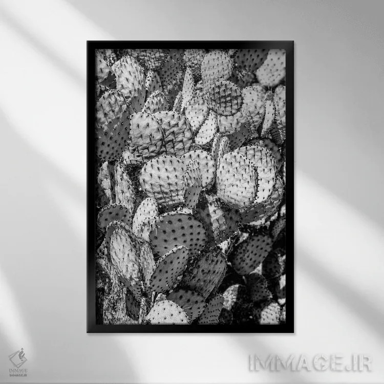 تابلو دکوراتیو سری سیاه آریزونا اثر فیلیپ هوگونار - نمای قابدار مشکی