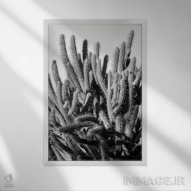 تابلو دکوراتیو سری سیاه آریزونا اثر فیلیپ هوگونار - نمای قابدار سفید