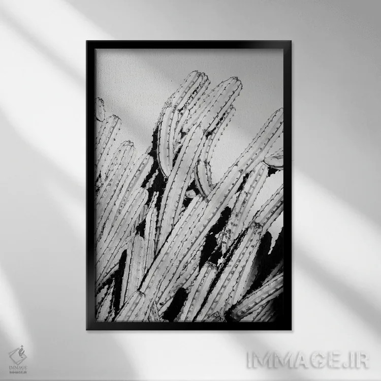 تابلو دکوراتیو سری سیاه آریزونا اثر فیلیپ هوگونار - نمای قابدار مشکی