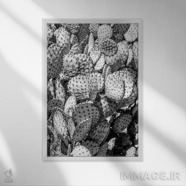 تابلو دکوراتیو سری سیاه آریزونا اثر فیلیپ هوگونار - نمای قابدار سفید