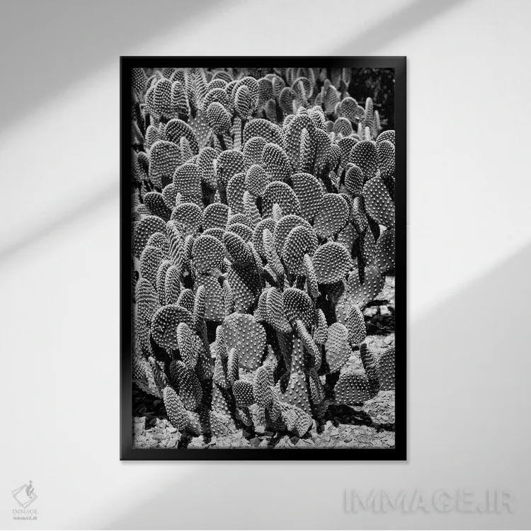 تابلو دکوراتیو سری سیاه آریزونا اثر فیلیپ هوگونار - نمای قابدار مشکی