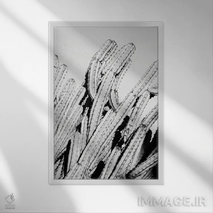 تابلو دکوراتیو سری سیاه آریزونا اثر فیلیپ هوگونار - نمای قابدار سفید