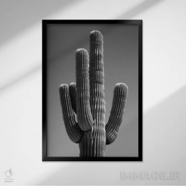 تابلو دکوراتیو سری سیاه آریزونا اثر فیلیپ هوگونار - نمای قابدار مشکی
