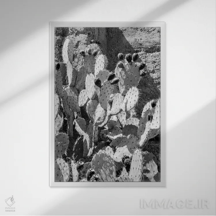تابلو دکوراتیو سری سیاه آریزونا اثر فیلیپ هوگونار - نمای قابدار سفید