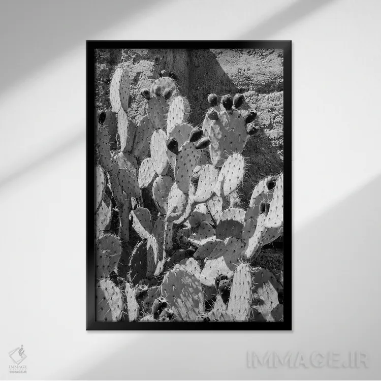 تابلو دکوراتیو سری سیاه آریزونا اثر فیلیپ هوگونار - نمای قابدار مشکی