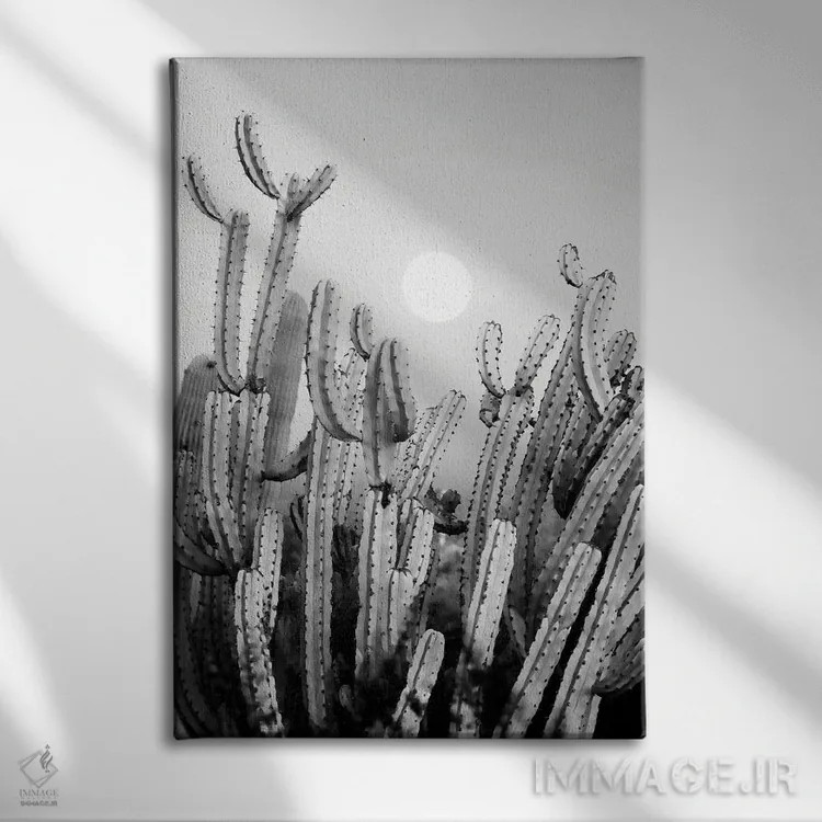 تابلو دکوراتیو سری سیاه آریزونا اثر فیلیپ هوگونار - نمای روبهرو روی دیوار