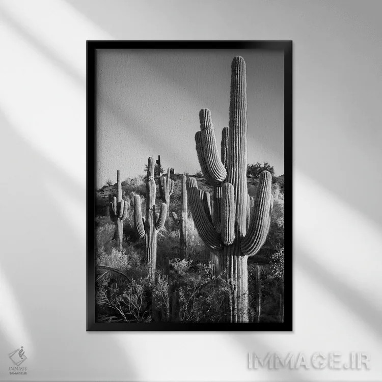 تابلو دکوراتیو سری سیاه آریزونا اثر فیلیپ هوگونار - نمای قابدار مشکی