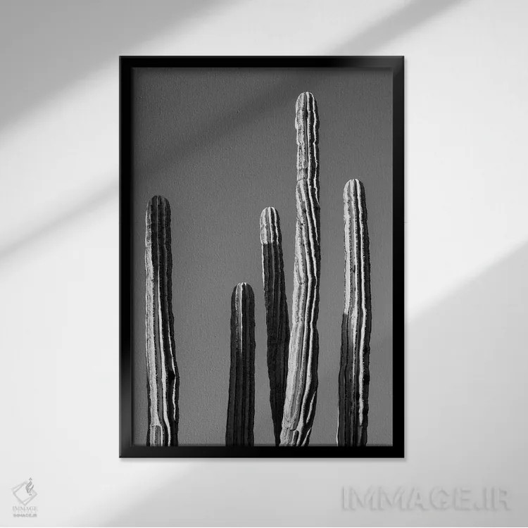تابلو دکوراتیو سری سیاه آریزونا اثر فیلیپ هوگونار - نمای قابدار مشکی