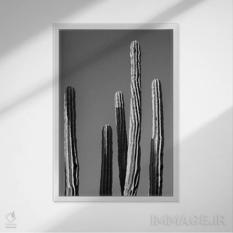 تابلو دکوراتیو سری سیاه آریزونا اثر فیلیپ هوگونار - نمای قابدار سفید