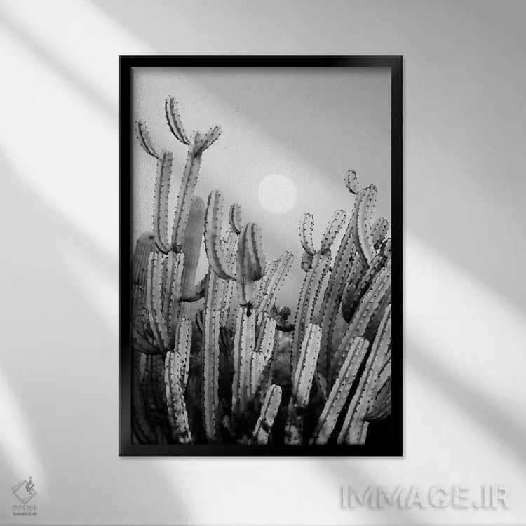 تابلو دکوراتیو سری سیاه آریزونا اثر فیلیپ هوگونار - نمای قابدار مشکی