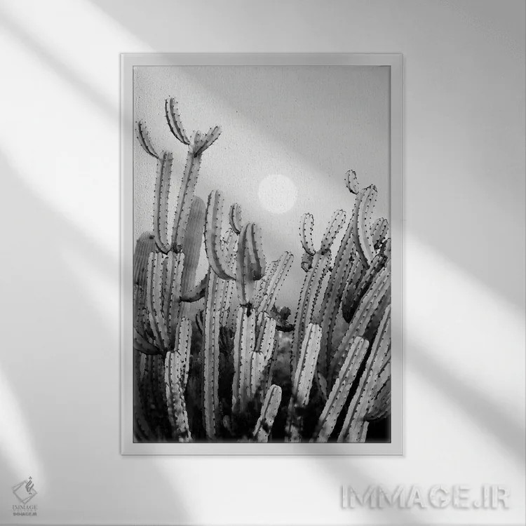 تابلو دکوراتیو سری سیاه آریزونا اثر فیلیپ هوگونار - نمای قابدار سفید