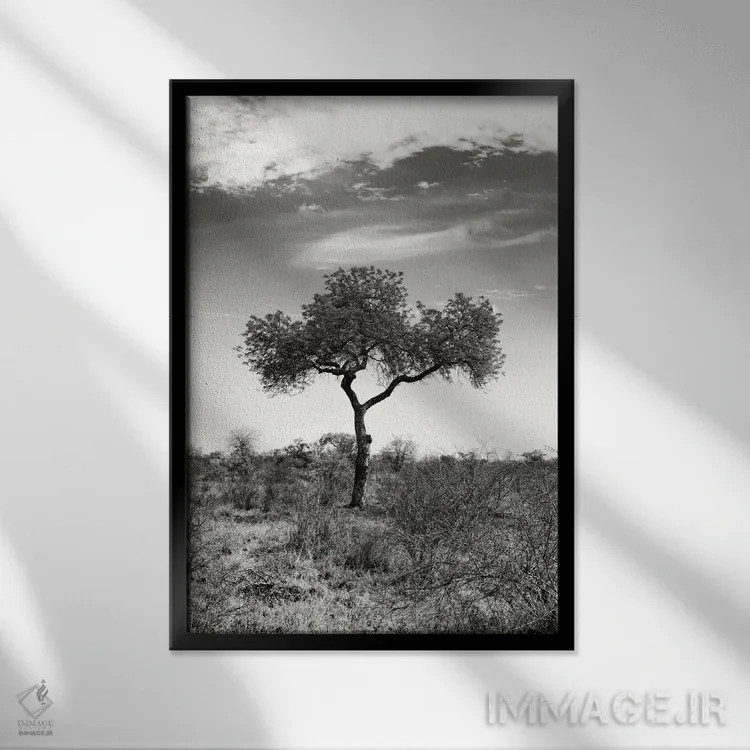 تابلو دکوراتیو چشم انداز آفریقایی ۲ اثر فیلیپ هوگونار - نمای قابدار مشکی