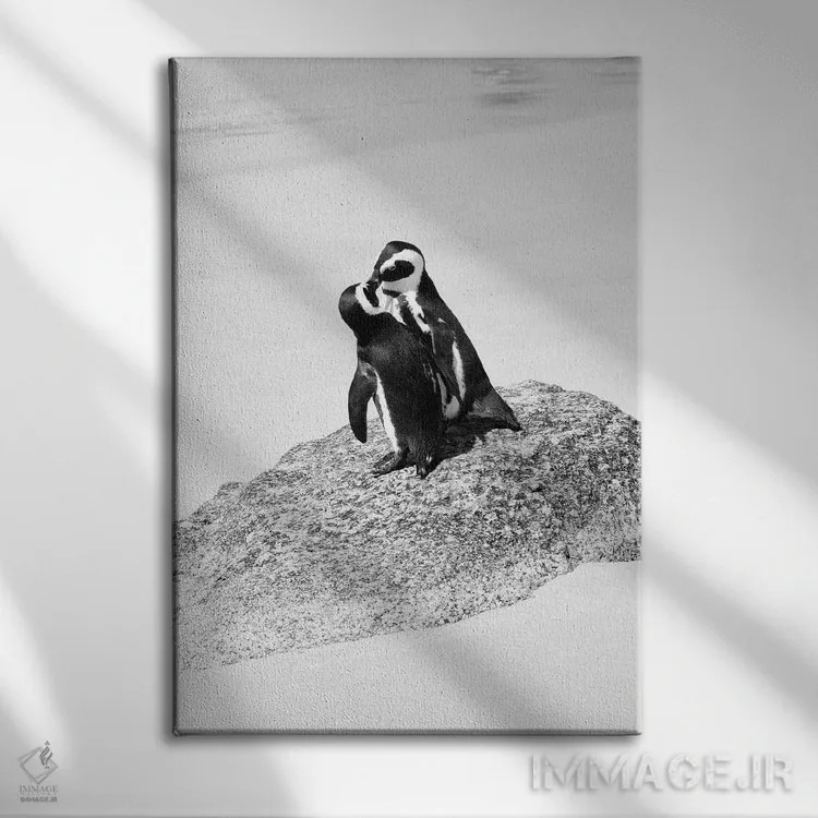 تابلو دکوراتیو "عاشقان پنگوئن" اثر فیلیپ هوگونار - نمای روبهرو روی دیوار