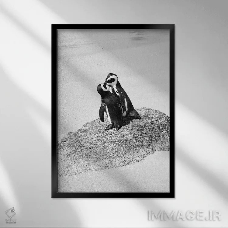 تابلو دکوراتیو "عاشقان پنگوئن" اثر فیلیپ هوگونار - نمای قابدار مشکی