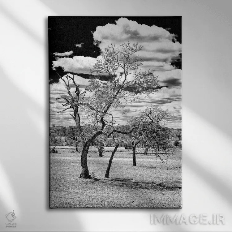 تابلو دکوراتیو "درخت مرده در ساوانای آفریقا" اثر فیلیپ هوگونار - نمای روبهرو روی دیوار