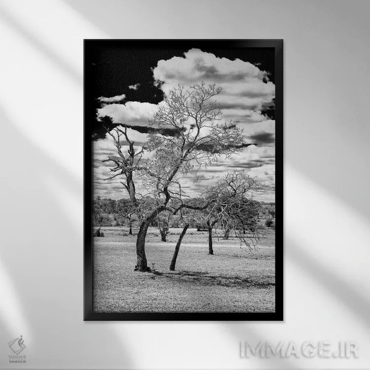 تابلو دکوراتیو "درخت مرده در ساوانای آفریقا" اثر فیلیپ هوگونار - نمای قابدار مشکی