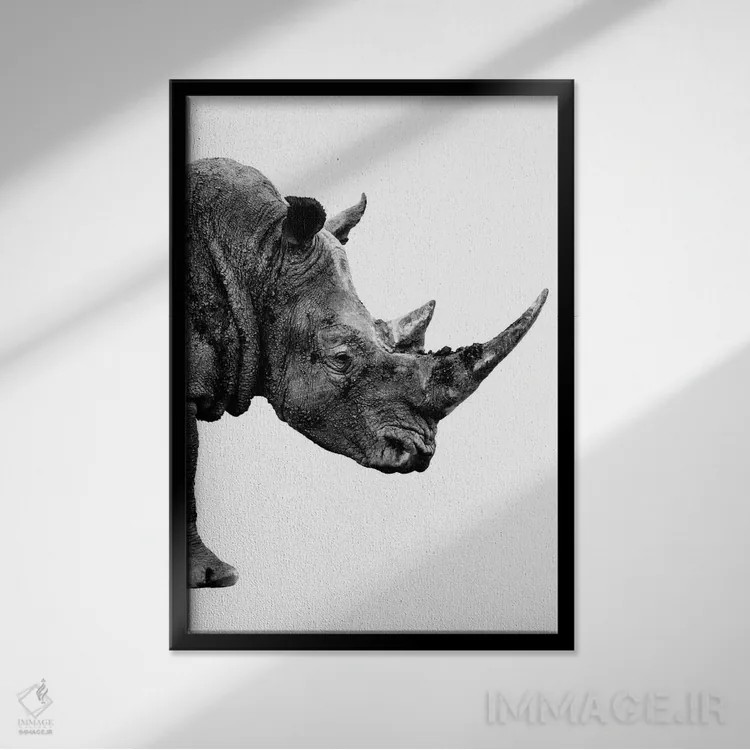 تابلو دکوراتیو رینو نسخه سفید IV اثر فیلیپ هوگونار - نمای قابدار مشکی