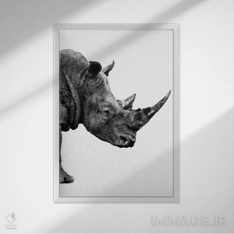 تابلو دکوراتیو رینو نسخه سفید IV اثر فیلیپ هوگونار - نمای قابدار سفید