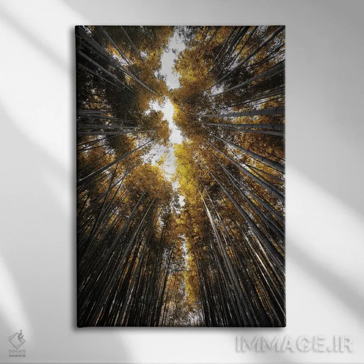 تابلو دکوراتیو جنگل بامبو ساگان III اثر فیلیپ هوگونار - نمای روبهرو روی دیوار