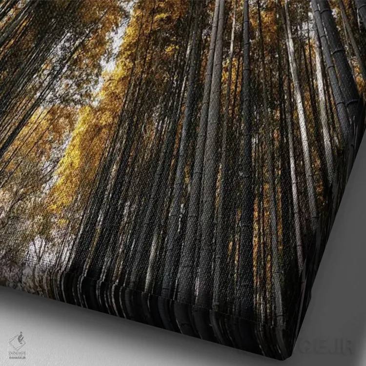 تابلو دکوراتیو جنگل بامبو ساگان III اثر فیلیپ هوگونار - نمای نزدیک بافت بوم