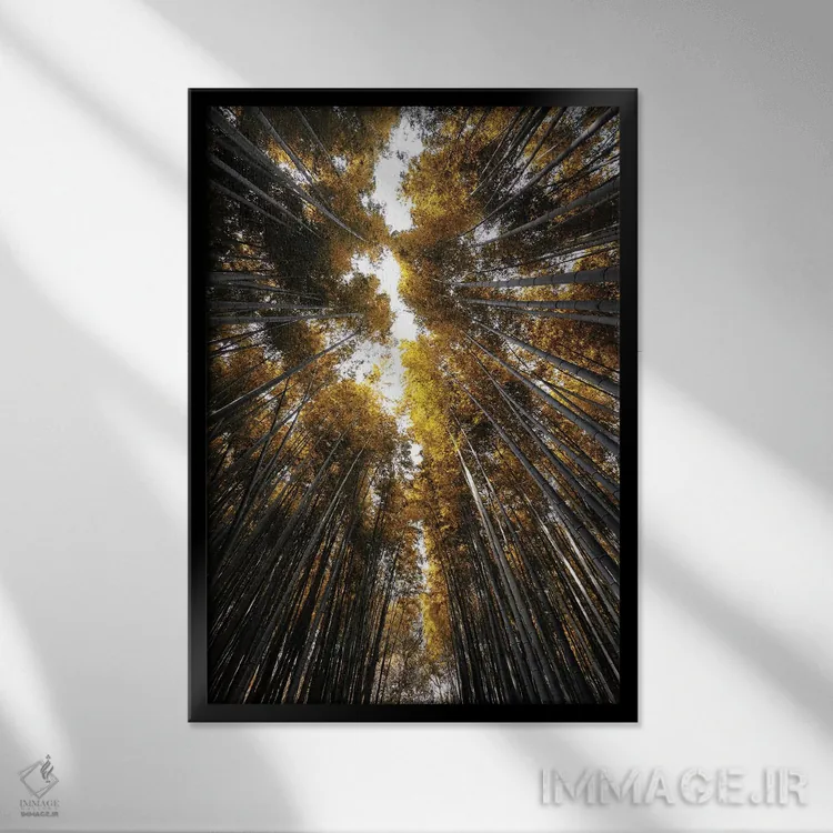 تابلو دکوراتیو جنگل بامبو ساگان III اثر فیلیپ هوگونار - نمای قابدار مشکی