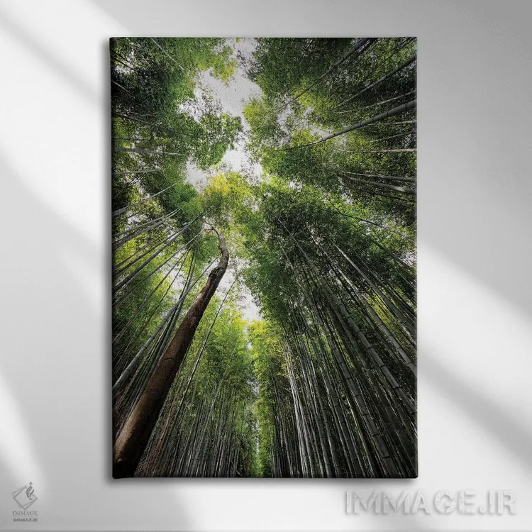 تابلو دکوراتیو "جنگل بامبو آراشیاما IV" اثر فیلیپ هوگونار - نمای روبهرو روی دیوار