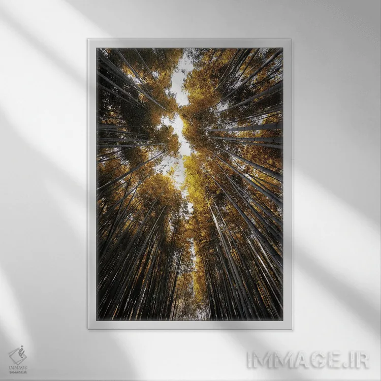 تابلو دکوراتیو جنگل بامبو ساگان III اثر فیلیپ هوگونار - نمای قابدار سفید