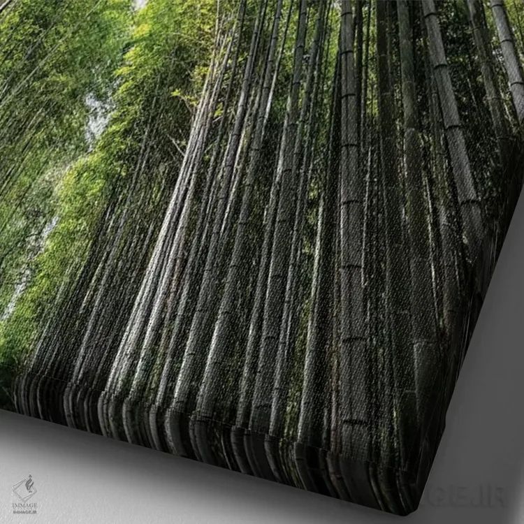 تابلو دکوراتیو "جنگل بامبو آراشیاما IV" اثر فیلیپ هوگونار - نمای نزدیک بافت بوم