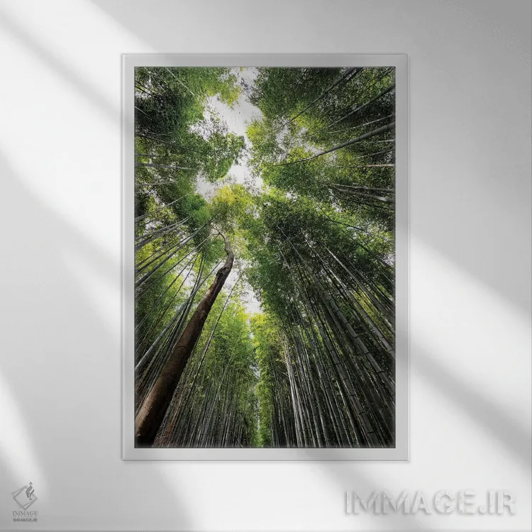 تابلو دکوراتیو "جنگل بامبو آراشیاما IV" اثر فیلیپ هوگونار - نمای قابدار سفید