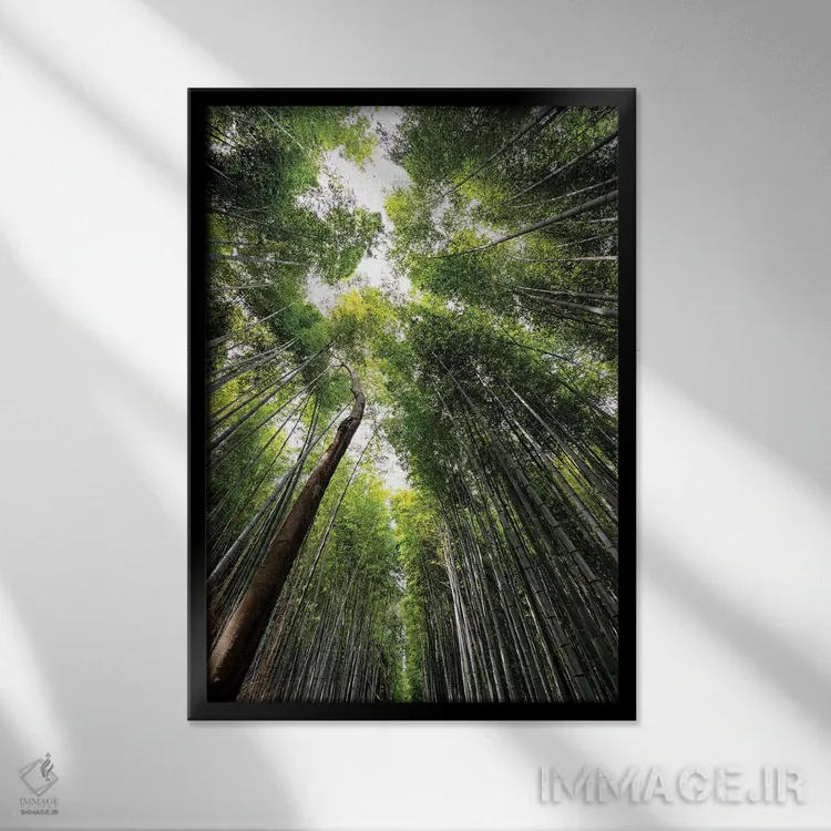 تابلو دکوراتیو "جنگل بامبو آراشیاما IV" اثر فیلیپ هوگونار - نمای قابدار مشکی