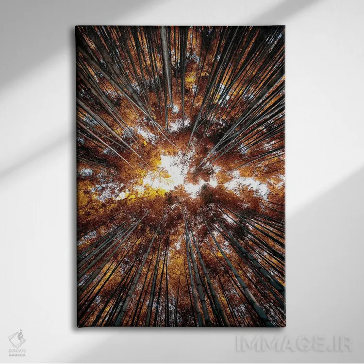 تابلو دکوراتیو "جنگل بامبو IV" اثر فیلیپ هوگونار - نمای روبهرو روی دیوار