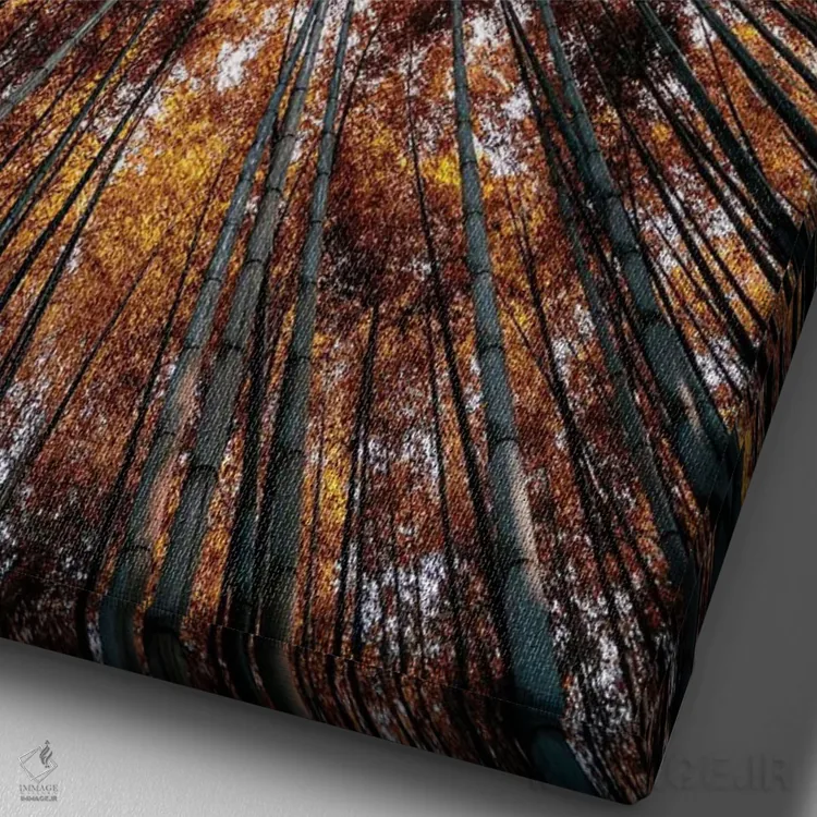 تابلو دکوراتیو "جنگل بامبو IV" اثر فیلیپ هوگونار - نمای نزدیک بافت بوم