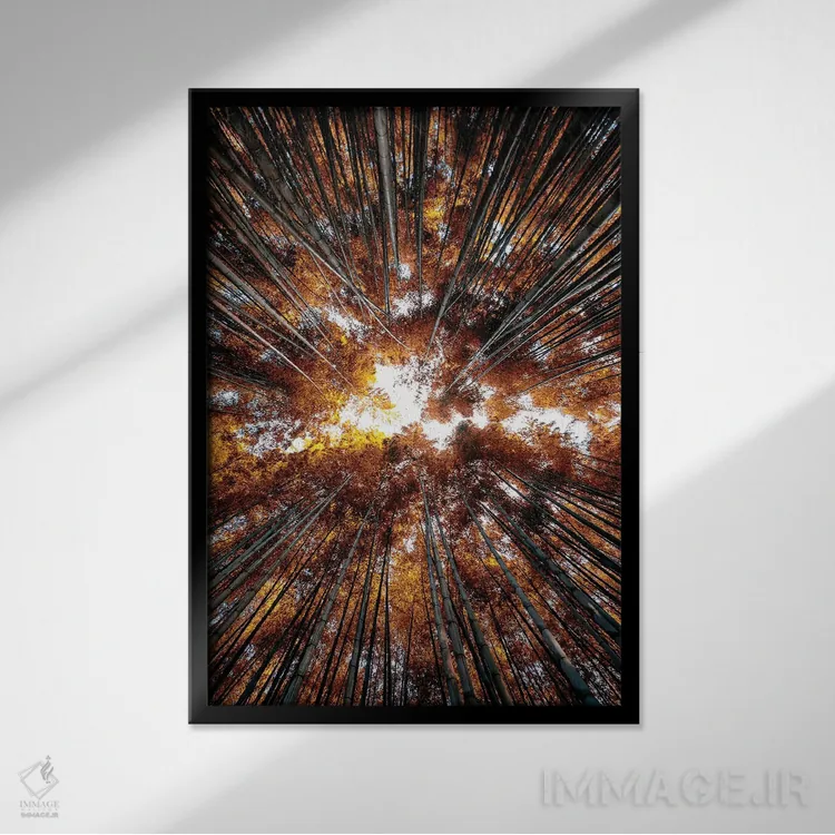 تابلو دکوراتیو "جنگل بامبو IV" اثر فیلیپ هوگونار - نمای قابدار مشکی