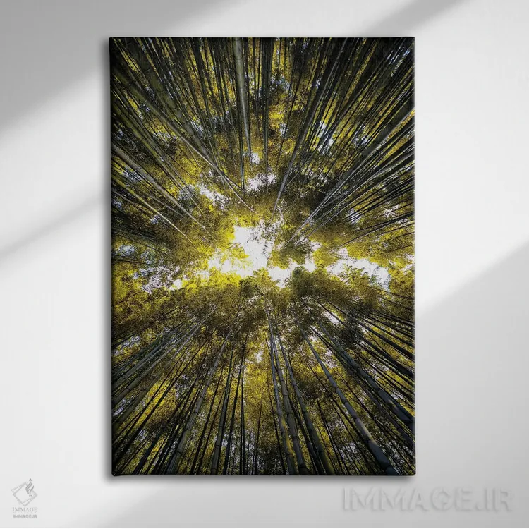 تابلو دکوراتیو "جنگل بامبو V" اثر فیلیپ هوگونار - نمای روبهرو روی دیوار