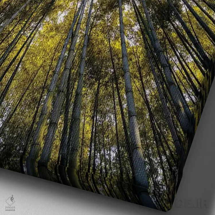 تابلو دکوراتیو "جنگل بامبو V" اثر فیلیپ هوگونار - نمای نزدیک بافت بوم