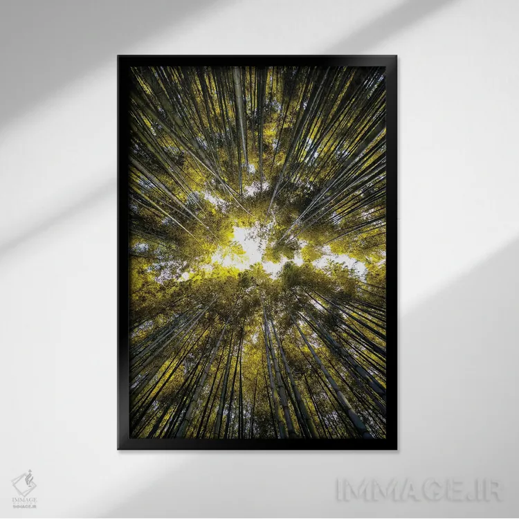 تابلو دکوراتیو "جنگل بامبو V" اثر فیلیپ هوگونار - نمای قابدار مشکی