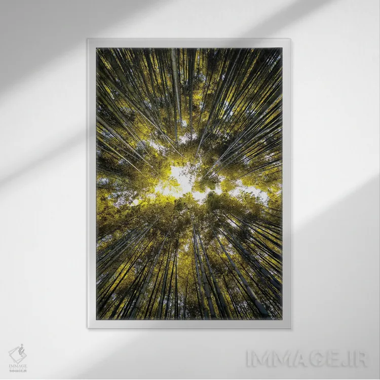 تابلو دکوراتیو "جنگل بامبو V" اثر فیلیپ هوگونار - نمای قابدار سفید