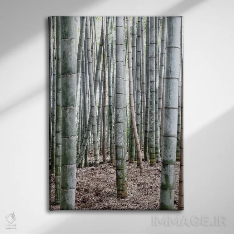 تابلو دکوراتیو "بامبوهای بی پایان IV" اثر فیلیپ هوگونار - نمای روبهرو روی دیوار