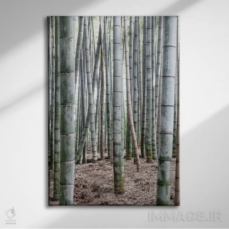 تابلو دکوراتیو "بامبوهای بی پایان IV" اثر فیلیپ هوگونار - نمای روبهرو روی دیوار