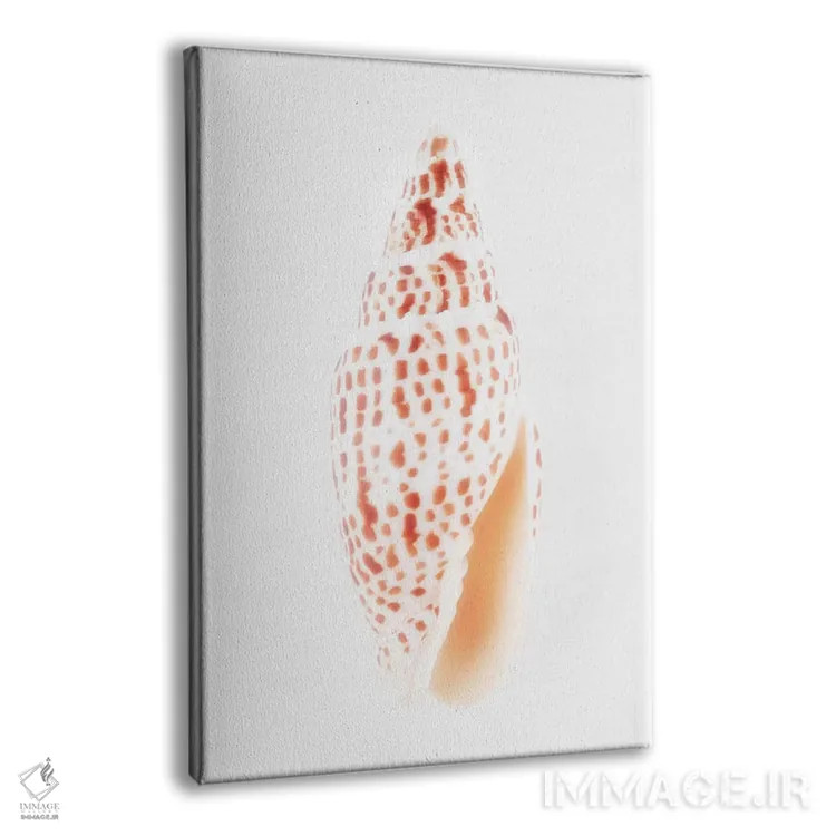 تابلو دکوراتیو صدف میتر اثر فیلیپ هوگونار - نمای پرسپکتیو محصول