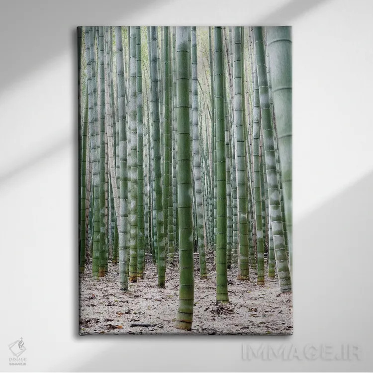 تابلو مینیمال "بامبوهای بی پایان II" اثر فیلیپ هوگونار - نمای روبهرو روی دیوار
