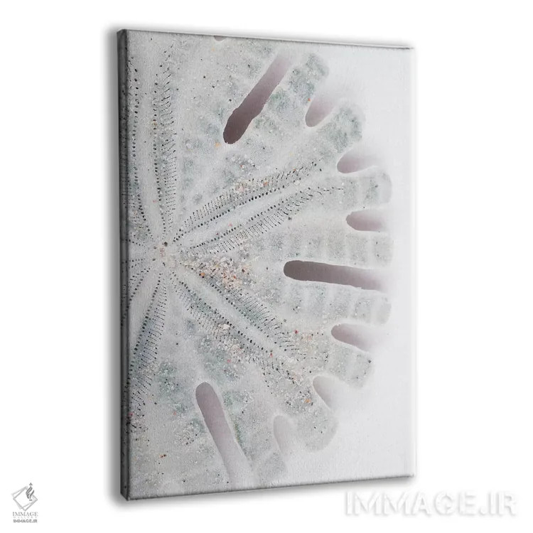 تابلو دکوراتیو "دلار شنی فلوریدا" اثر فیلیپ هوگونار - نمای پرسپکتیو محصول