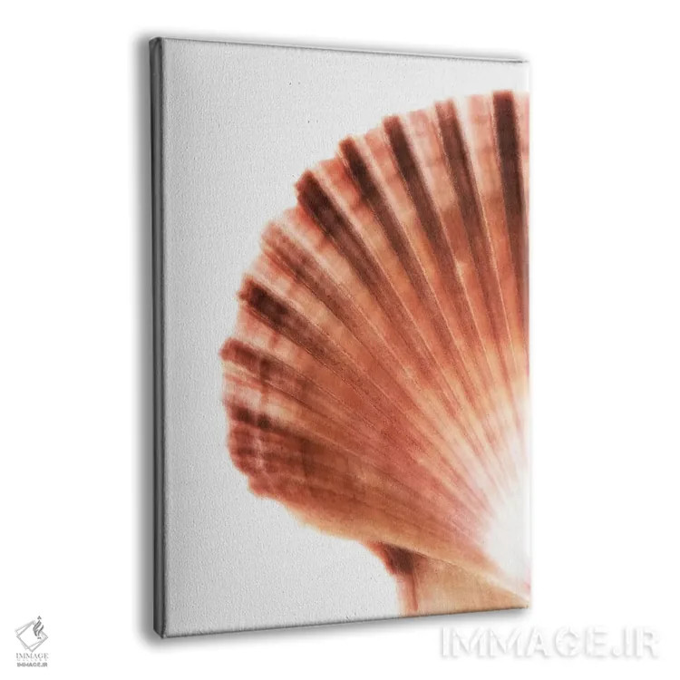 تابلو دکوراتیو صدف صدفی اثر فیلیپ هوگونار - نمای پرسپکتیو محصول
