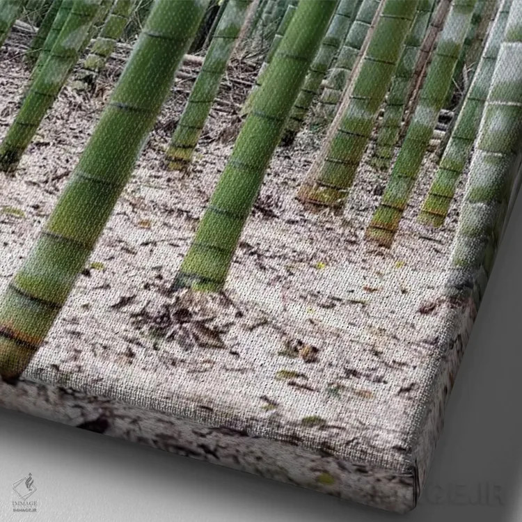تابلو مینیمال "بامبوهای بی پایان II" اثر فیلیپ هوگونار - نمای نزدیک بافت بوم