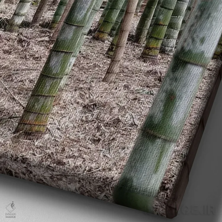 تابلو دکوراتیو "بامبوهای بی پایان IV" اثر فیلیپ هوگونار - نمای نزدیک بافت بوم